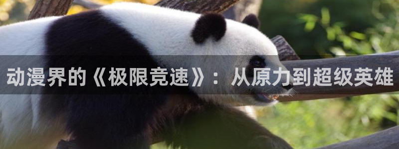 樱花风车动漫