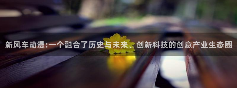 风车动漫vip