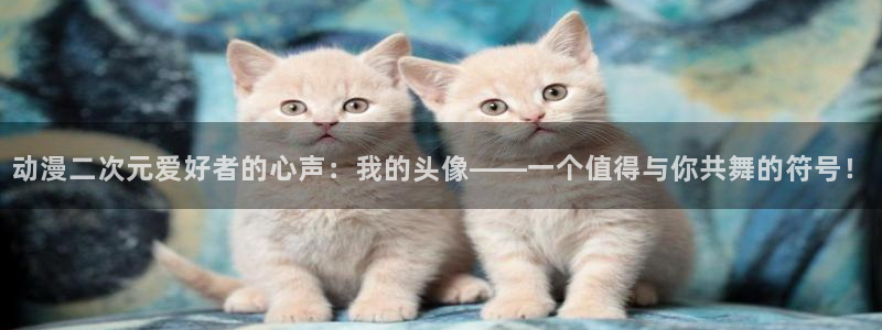 风车动漫p_专注动漫