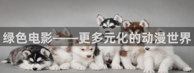 风车动漫首页网站