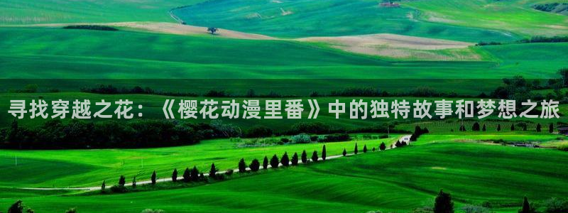 y风车动漫