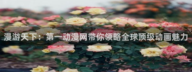 风车动漫怎么免费看