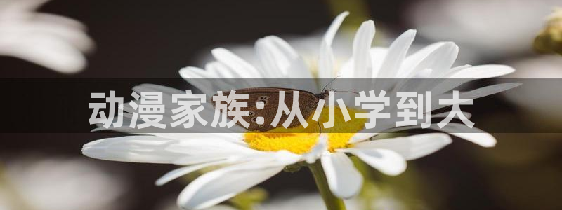 风车动漫风车动漫