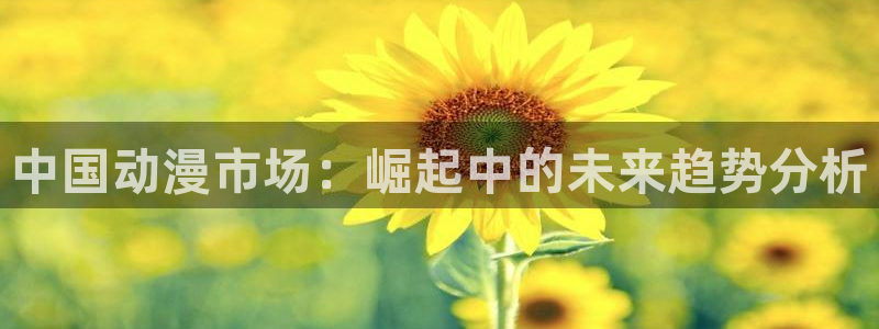 好看的风车动漫